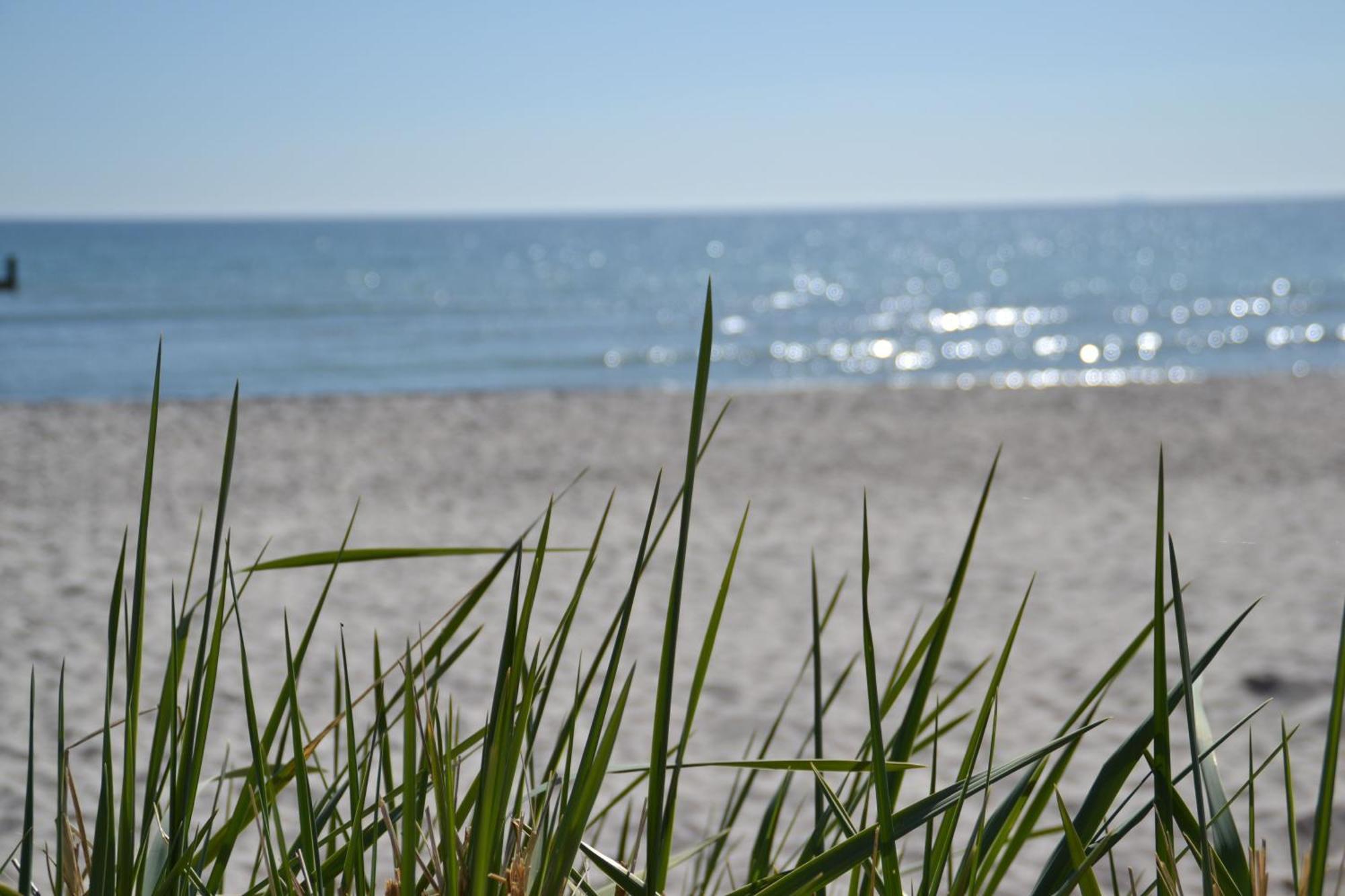 Hansa App 2, 2 Sz, 2 Baeder, Terrasse By Unsere Urlaubszeit * Binz
